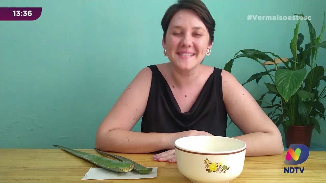 Os poderes da babosa: como colher, preparar e usar