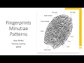 Fingerprint Minutiae Patterns