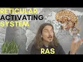 Lagu Reticulair Activerend Systeem, RAS. Wat is de rol van RAS? Wat is de functie van het RAS?