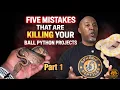 Part 1 Five Mistakes That Are Killing Your Ball Python Projects