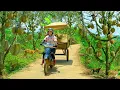 Download Lagu Harvest Durian After 5 Years To Sell At The Market – Garden Care \u0026 Animal Raising| Tieu Lien's Farm.
