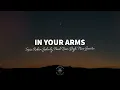 Topic, Robin Schulz, Nico Santos, Paul van Dyk - In Your Arms (For An Angel) (Lyrics)