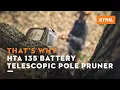 Download Lagu STIHL HTA 135 battery telescopic pole pruner | That's why