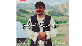 نجیب کشمی دل تنگم که میگیرید شبانه 