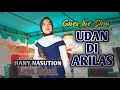Udan Di Arilas - Hany Nasution - Live Keyboard Tapsel terbaru 2023