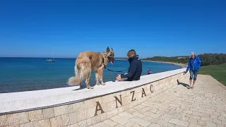 Anzac Day | Landing at Gallipoli | Sailing Sunday