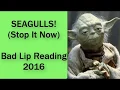 Seagulls Stop It Now - clean