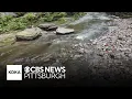 More than half of monitored Pennsylvania waterways showed unsafe E coli levels last year