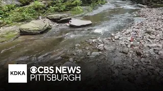 More than half of monitored Pennsylvania waterways showed unsafe E coli levels last year