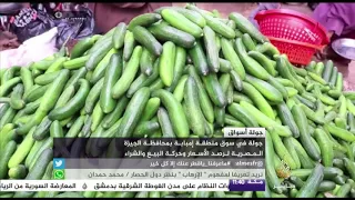 سوق منطقة إمبابة بمحافظة الجيزة بمصر لرصد الأسعار وحركة البيع والشراء 