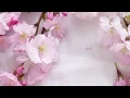 NOSTALGIA LAGU MANDARIN LAMA (TERESA TENG) Teresa Teng Best Song