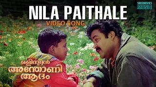 nila paithale video song olympiyan anthony adam k j yesudas gireesh puthenchery ouseppachan