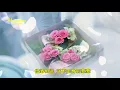邰正宵《九百九十九朵玫瑰》夜風已冷 回想前塵如夢...  ♥ ♪♫*•