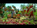 Relaxing With Harvest Longan Red Radish Tomatoes Passion Fruit Bottle Gourd Cauliflower