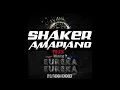 Lagu Winky D ft Enzo Ishall Shaker Amapiano mix Dj Themba Remember