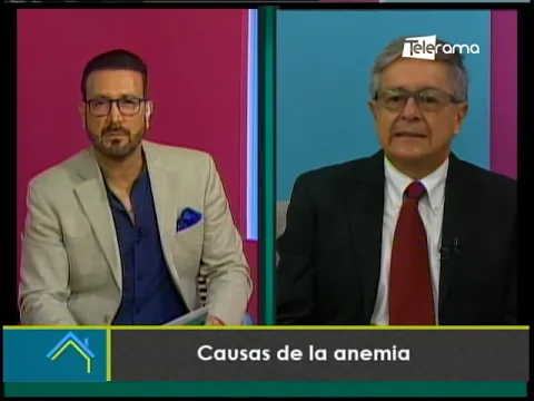 Causas de la anemia