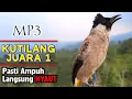 Download Lagu Suara Burung Kutilang Gacor Garuda TOP Untuk Masteran Dan Pikat Langsung Nyaut