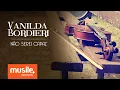 Download Lagu Vanilda Bordieri - Não Serei Capaz (Clipe Oficial)