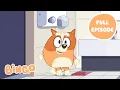 Bingo at the Movies Bluey Full Episode Bingo - Channel