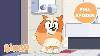 bingo at the movies bluey full episode bingo official channel