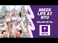the TEA on greek life at NYU hazing greekrank hierarchies and MORE