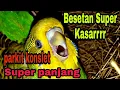 Lagu MASTERAN PARKIT SUARA KASAR DURASI PANJANG