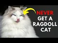 Download Lagu 13 Reason Why You SHOULD NOT Own A Ragdoll Cat