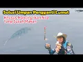 Download Lagu SPOT MANCING NILA PALING POTENSIAL DI JAKARTA TIMUR // MANCING IKAN NILA LIARAN TEKNIK LOBANG