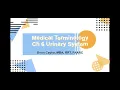 Ch 6 Medical Terminology Urinary System
