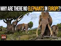 Download Lagu Why Are There No Elephants In Europe?