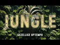 Download Lagu Gezellige Uptempo - Jungle (Official Video)