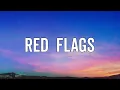 Mimi Webb - Red Flags (Lyrics)