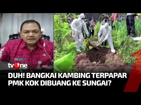 Kasus Pembuangan Bangkai Kambing PMK ke Sungai Terungkap, Pelaku Diupah Rp100.000
