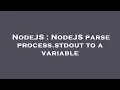 NodeJS NodeJS parse process stdout to a variable