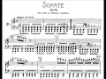 Beethoven: Sonata No.21 in C Major, "Waldstein" (Pletnev)