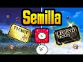 What is a SEED Complete Guide