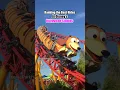 The 5 BEST Rides at Disney s Hollywood Studios