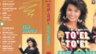 Download TOEL TOEL _ IIN SOFIE MP3