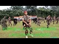 Download Lagu lagu haning dayak kopasus joget komando kompak