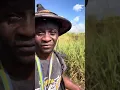 Download Lagu Gabon 🇬🇦 : le trajet Lalara-Booué, il y a quoi là dedans ? Découvertes 