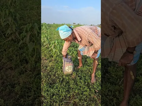 Oh My God! Old Man Secret Fishing Idea #fishing #fishingvideos #thoondilulagam #lakefishing