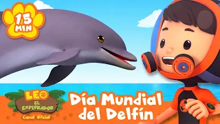 ¿Has visto un delfín alguna vez? ¡Es el Día Mundial de los Delfines! Leo, El Explorador | Animación