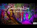 Download Lagu Twoleggedezoo w/ Oneirogen, The Void \u0026 Tenorless  @ The Orion Ampitheater 9/1/24
