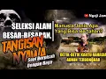 Download Lagu \