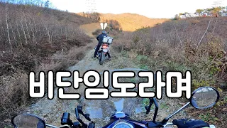 슈퍼커브도 가능한 묵리임도 | 아찔했던 데저트X | 비단임도의 제왕 CRF300 썸네일