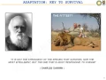 UC Irvine CEE-290 Topic 2 Global optimization