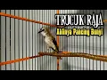 Download Lagu RAJA TRUCUK Ropel AMPUH Pagi,Siang,Malam Agar Ikut GACOR‼️