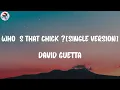 David Guetta - Who's That Chick ? (feat. Rihanna) [Single Version] (Lyrics)