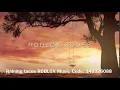 Raining Tacos ROBLOX Music Code