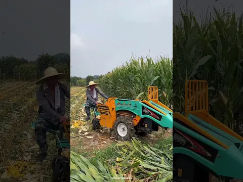 ये मशीन 1 मिनट में कर दे मक्का साफ! 🌽🔥” farming #shorts #futurefarming